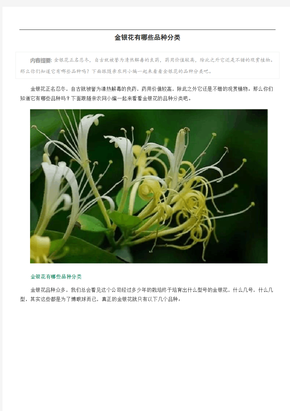 金银花有哪些品种分类