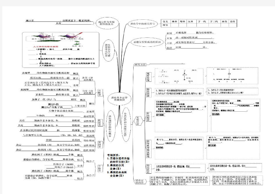 第5单元 遗传基本定律和应用思维导图