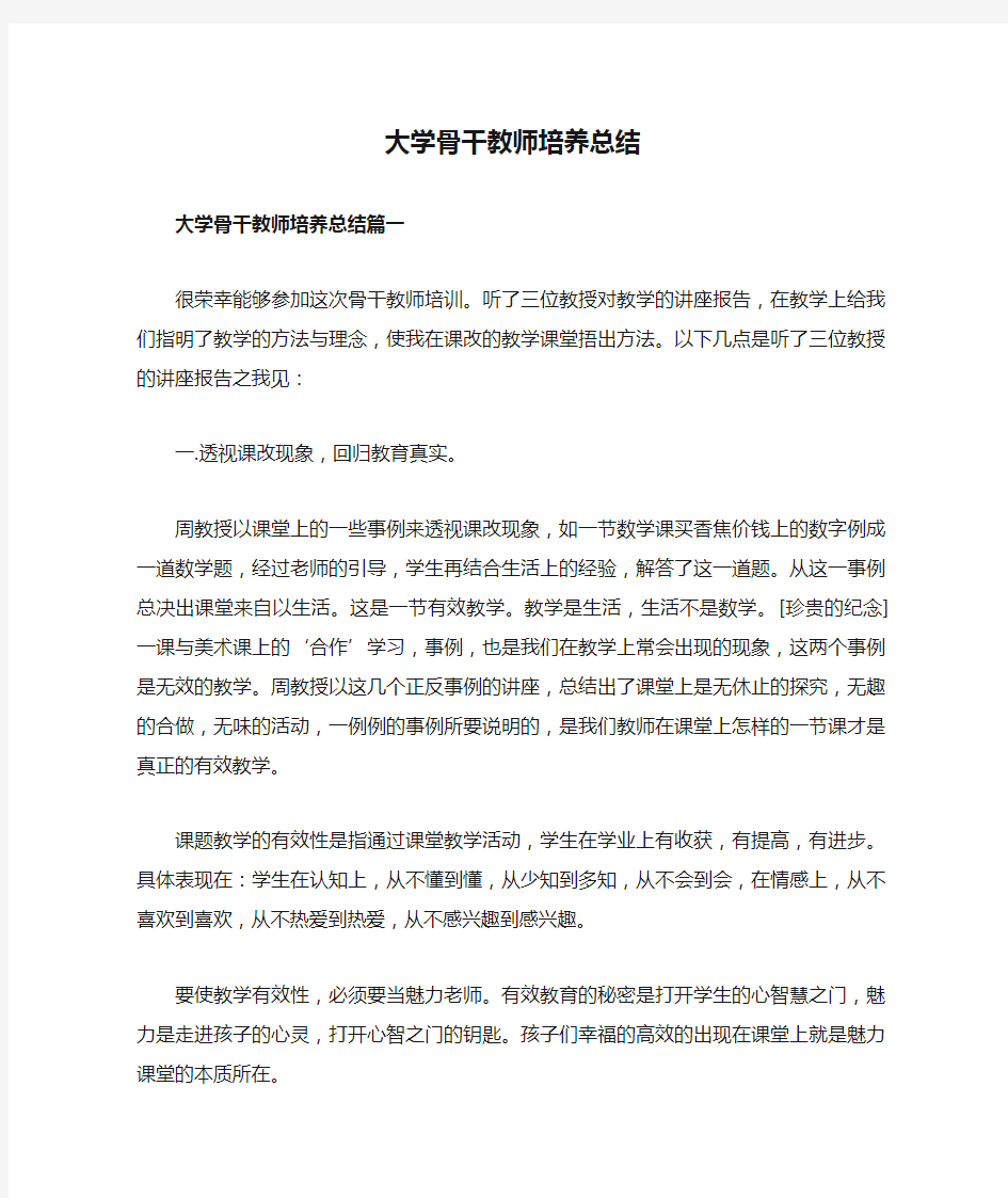 大学骨干教师培养总结