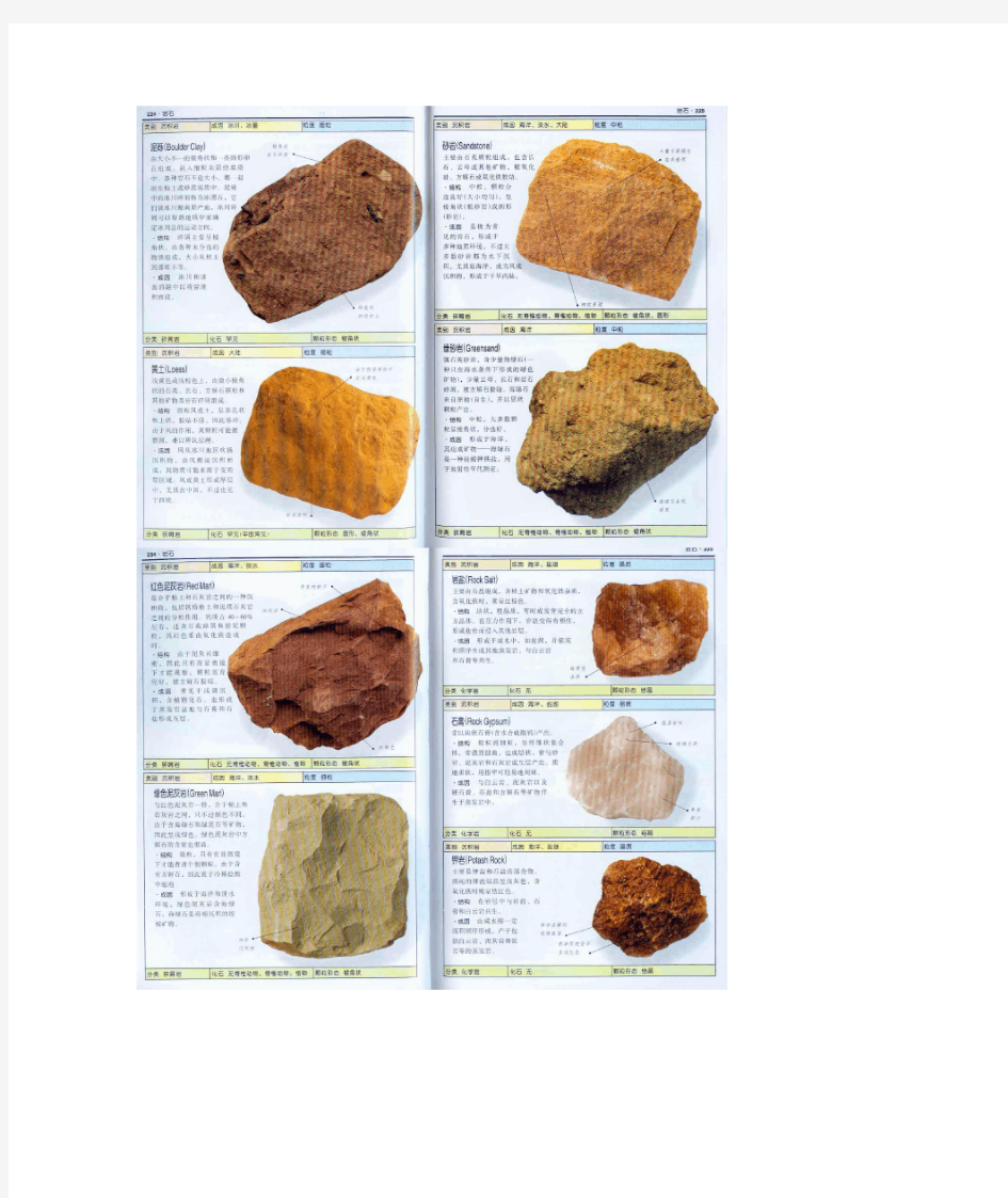 岩石的分类(图文版)