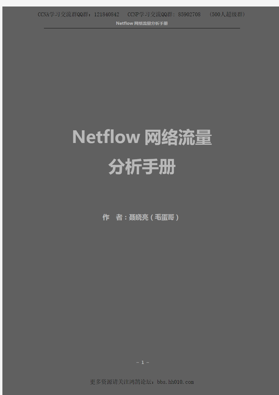 Netflow网络流量分析手册