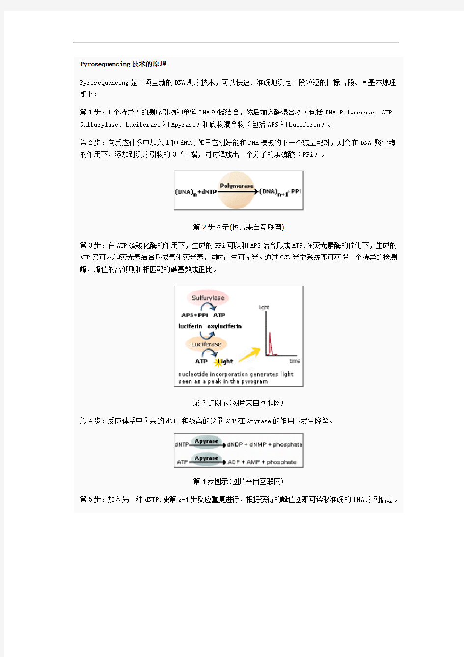 焦磷酸测序技术的原理