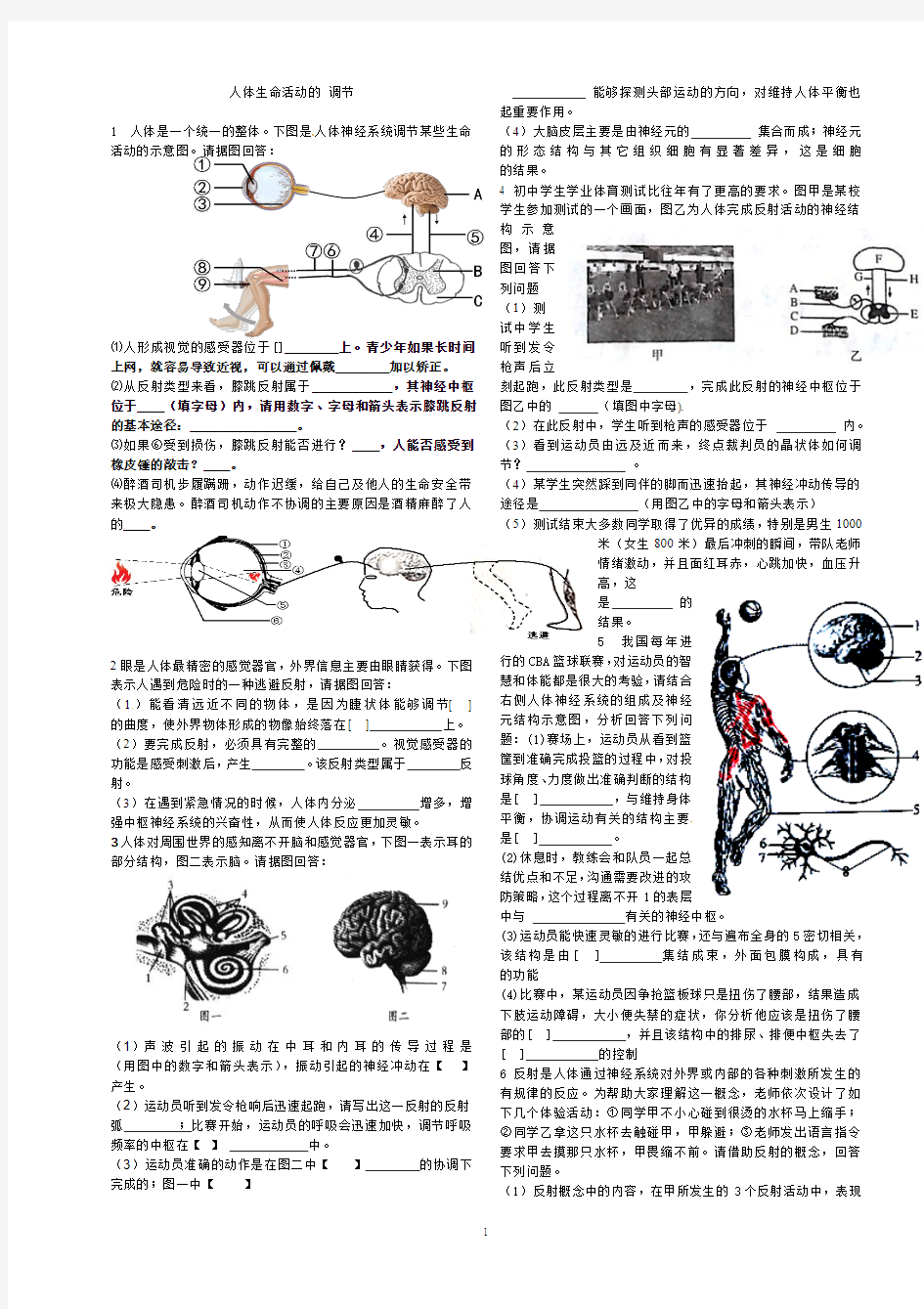 人体生命活动的调节