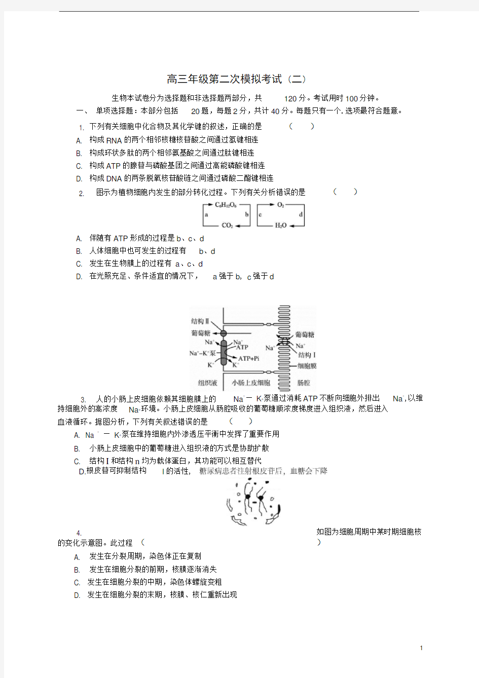 高三生物第二次模拟考试试题含答案详解