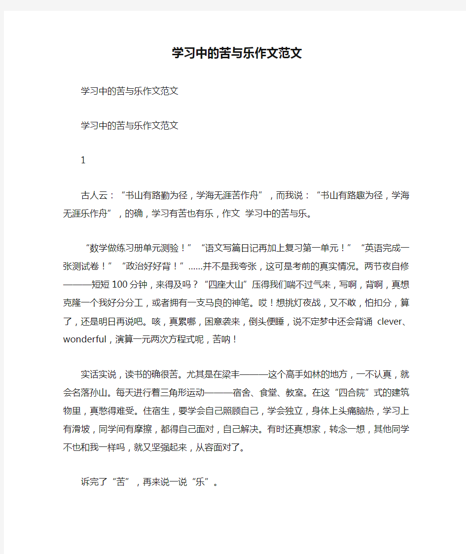 学习中的苦与乐作文范文