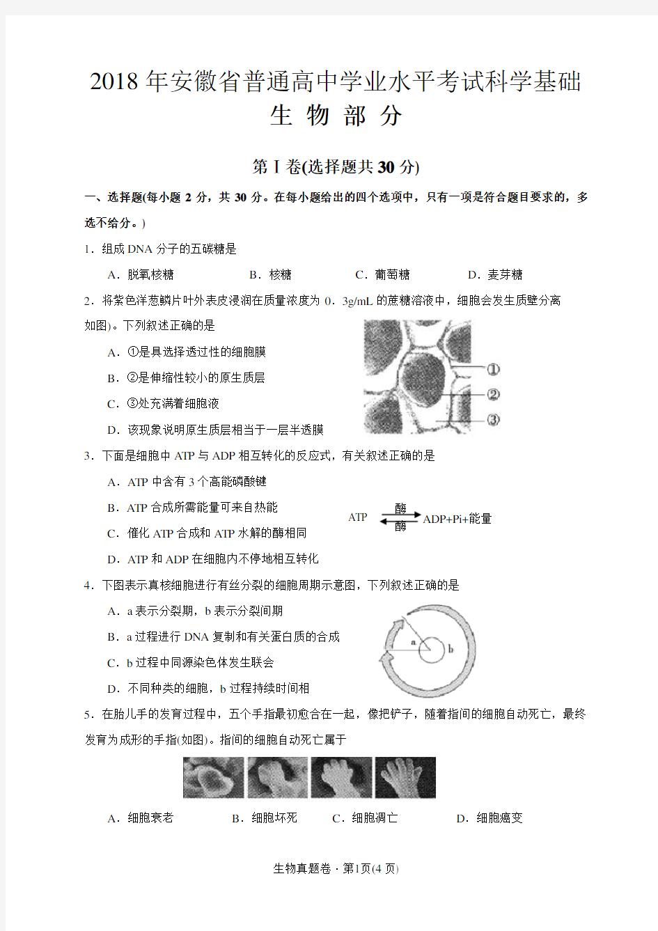 2018年安徽省普通高中学业水平考试科学基础生物部分(含答案)