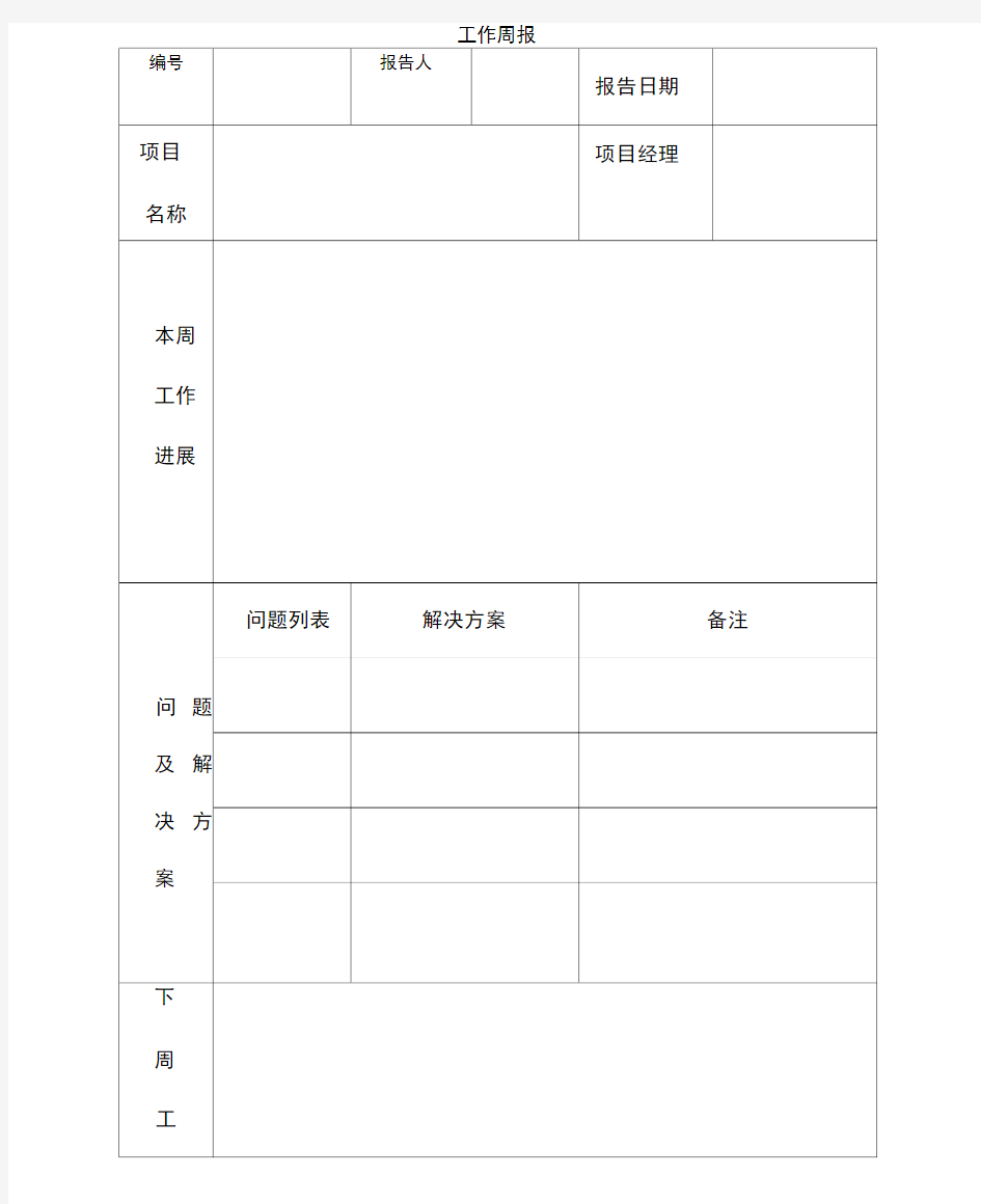 IT项目管理工作周报