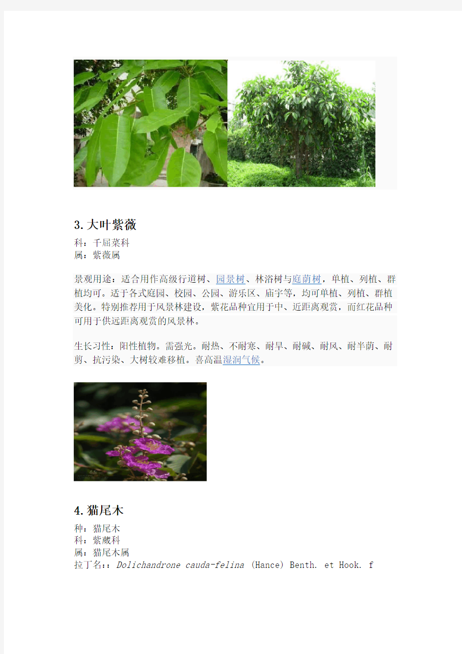 常见园林植物100种
