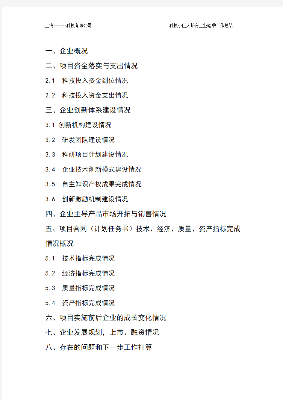 上海市培育型小巨人企业总结报告模版1