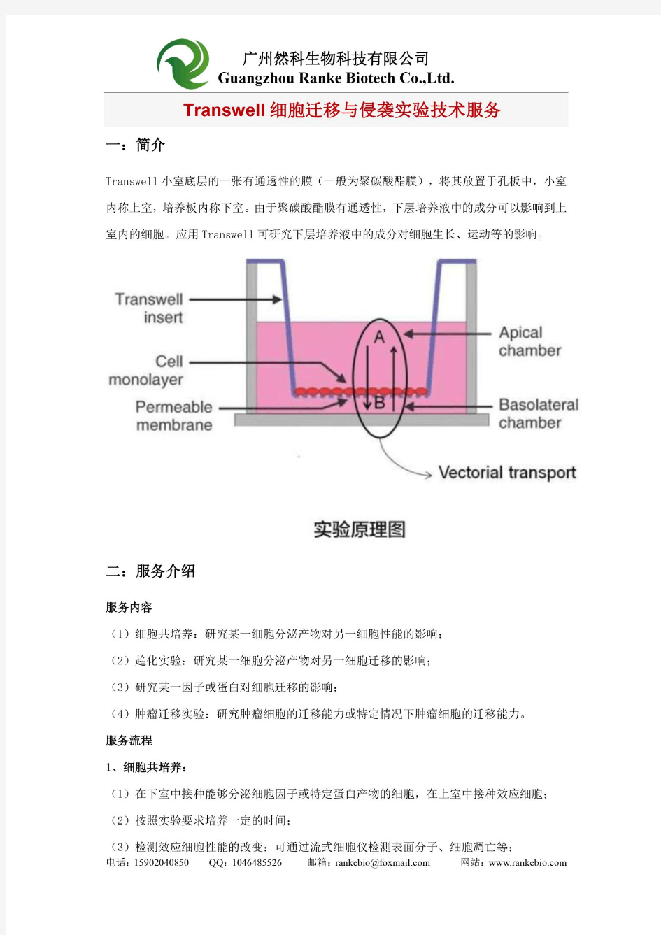 然科生物Transwell细胞迁移与侵袭实验技术服务