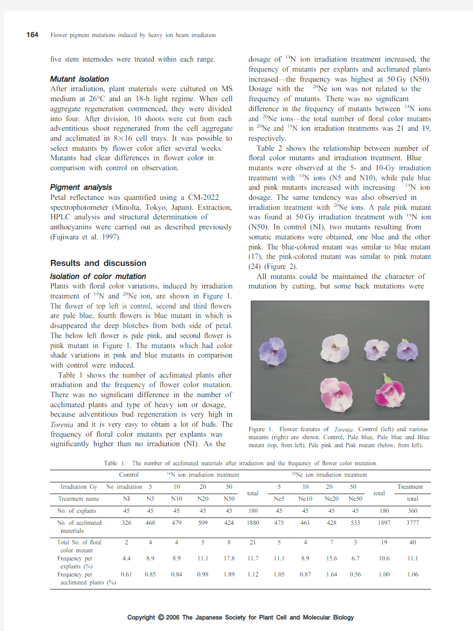 Flower pigment mutations induced by heavy ion beam irradiation