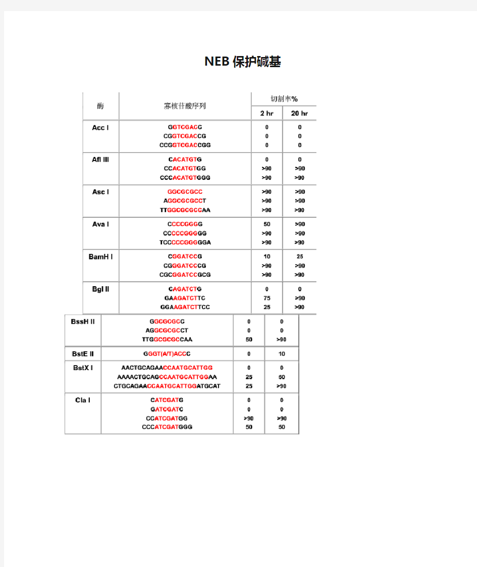 NEB保护碱基