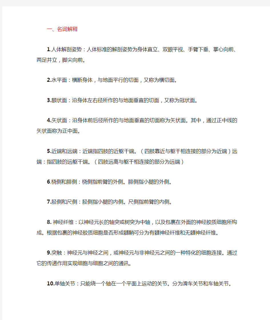 运动解剖学复习资料