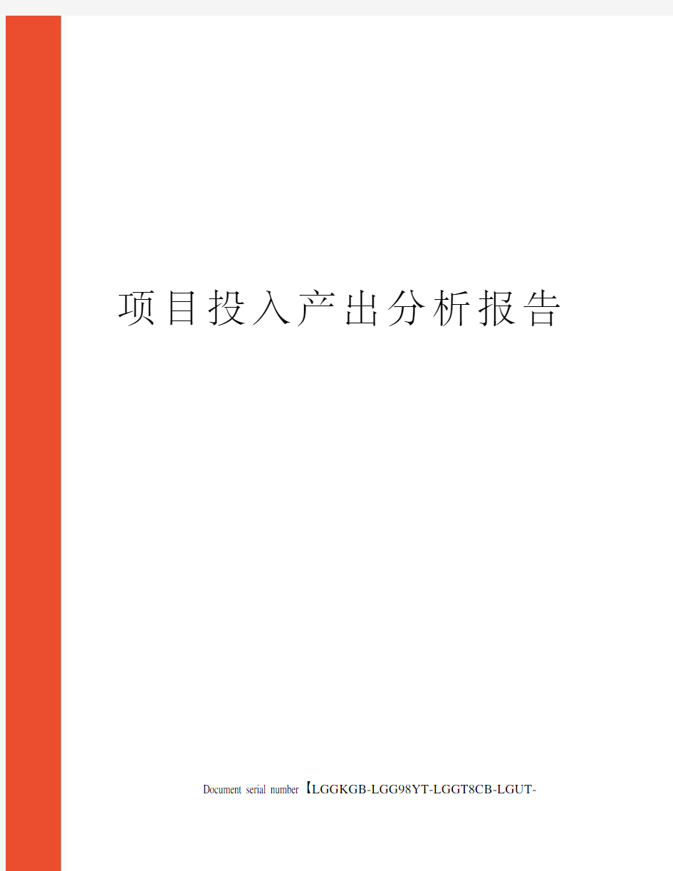 项目投入产出分析报告