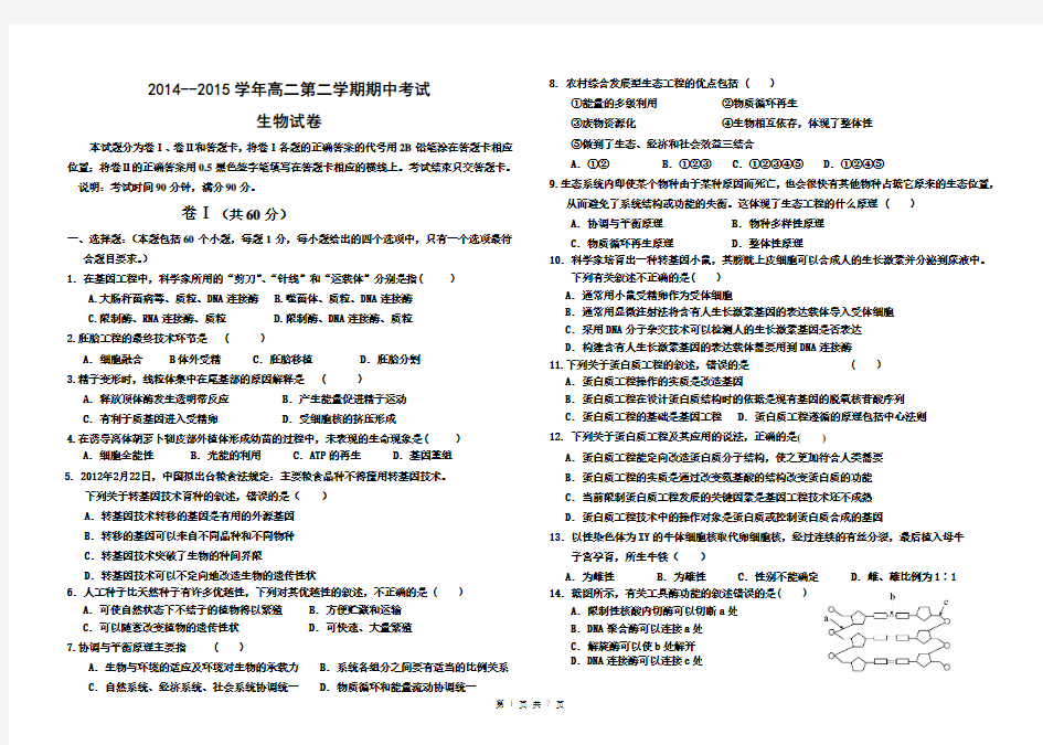 2014-2015学年度高二第二学期期中考试生物试题(带答案)