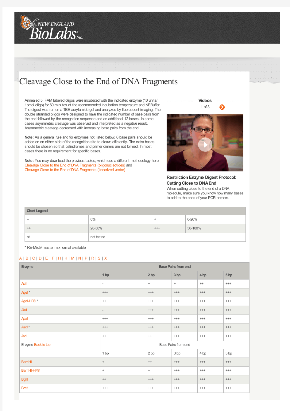 cleavage-close-to-the-end-of-dna-fragments