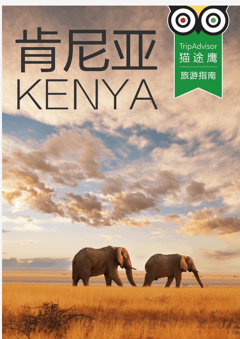 肯尼亚旅游指南下载版 - TripAdvisor猫途鹰