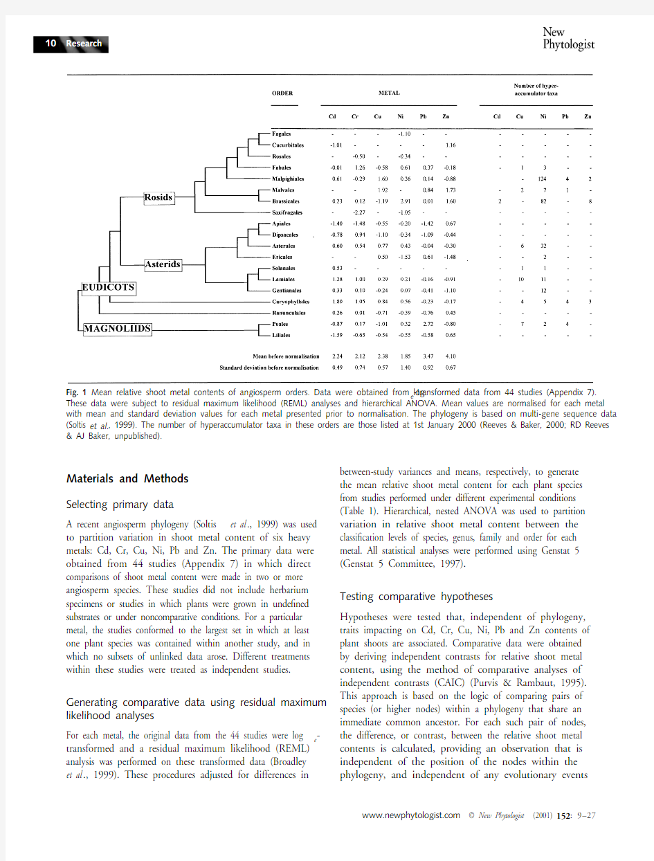 Phylogenetic variation in heavy metal accumulation in angiosperms