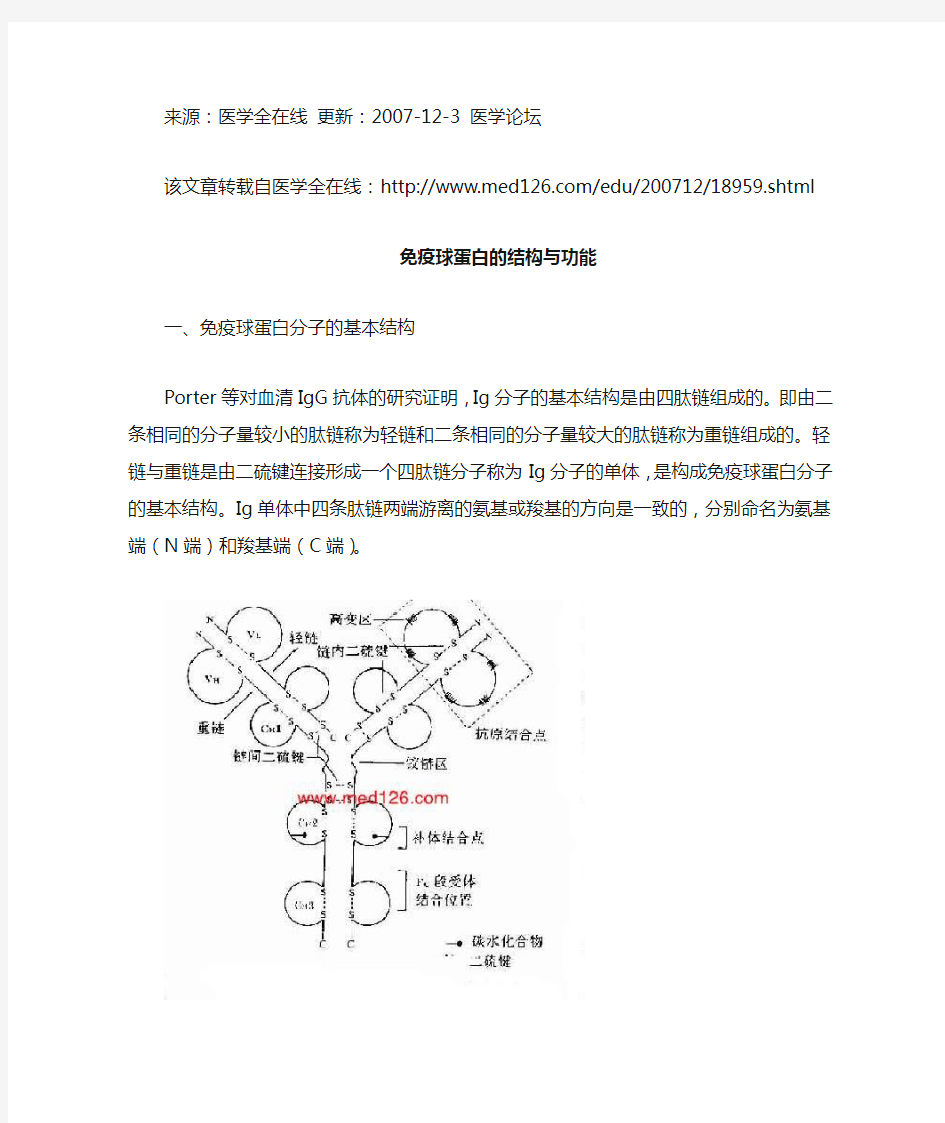 抗体的结构与功能