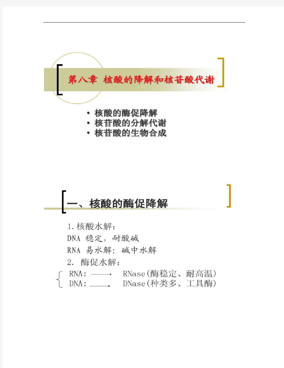 浙江大学王镜岩生物化学(甲)上第08章 核酸降解及核苷酸代谢.