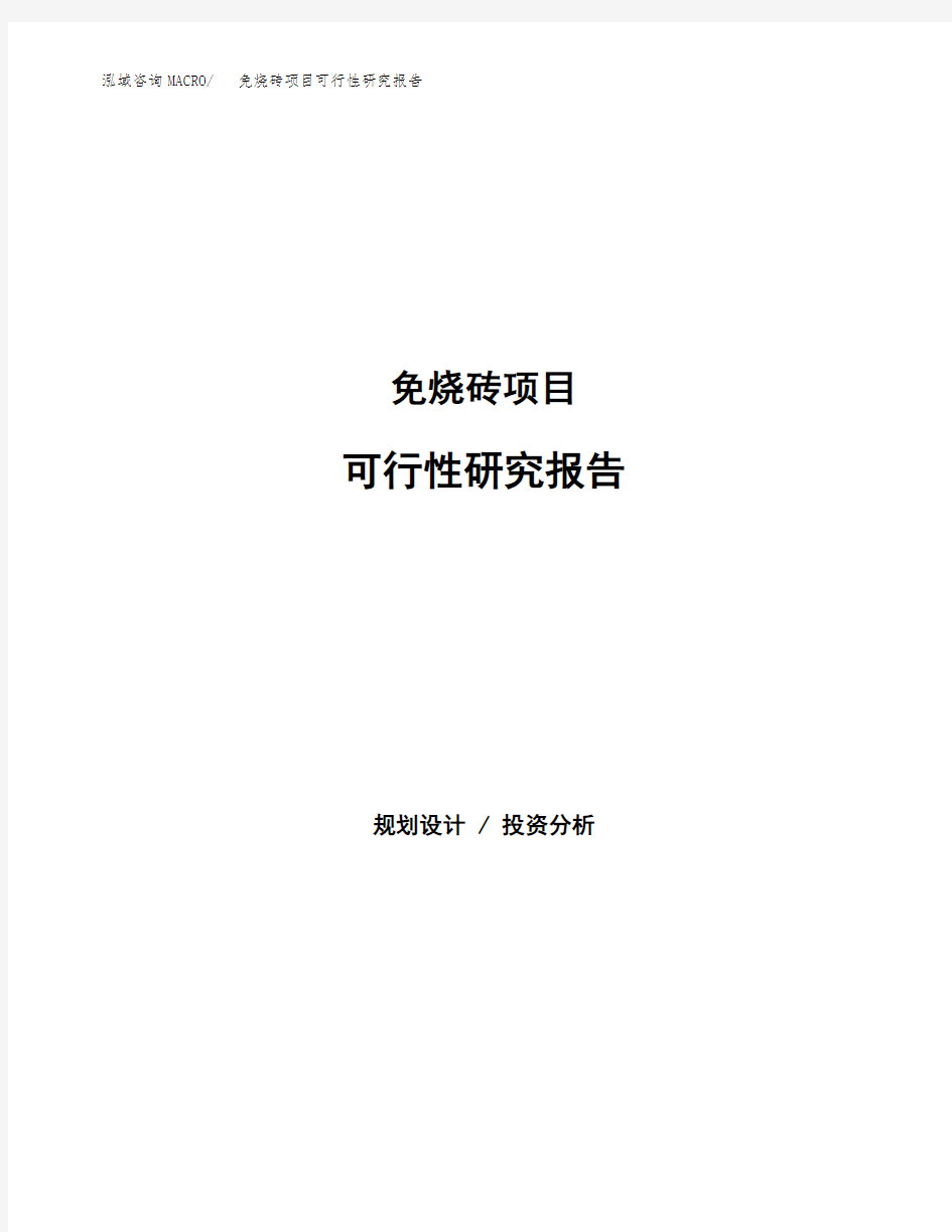 免烧砖项目可行性研究报告模板及范文