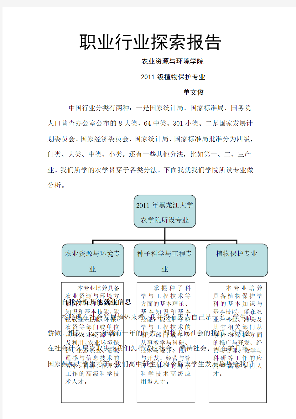 职业行业探索报告