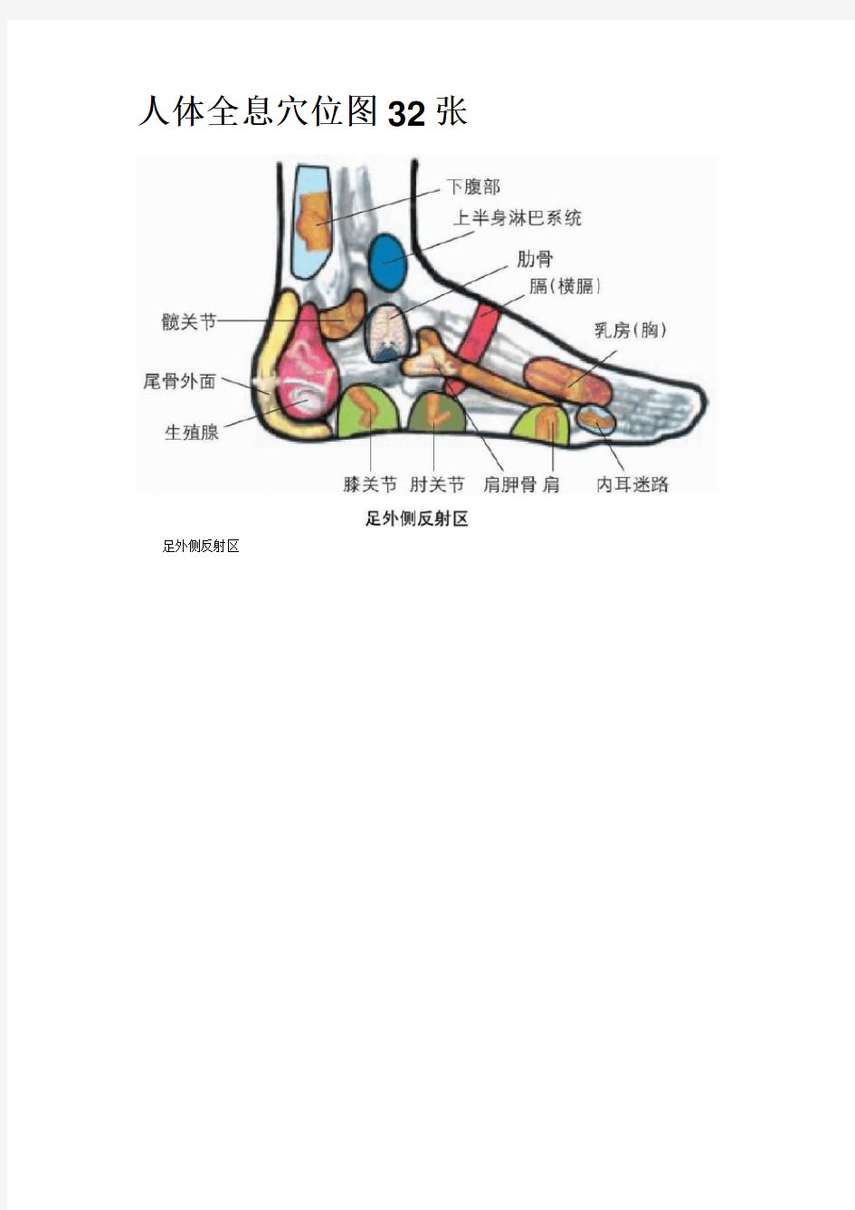 人体全息穴位图32张