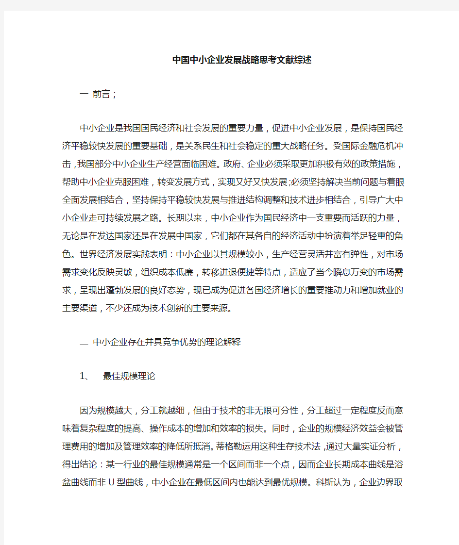 关于中国中小企业发展战略文献综述