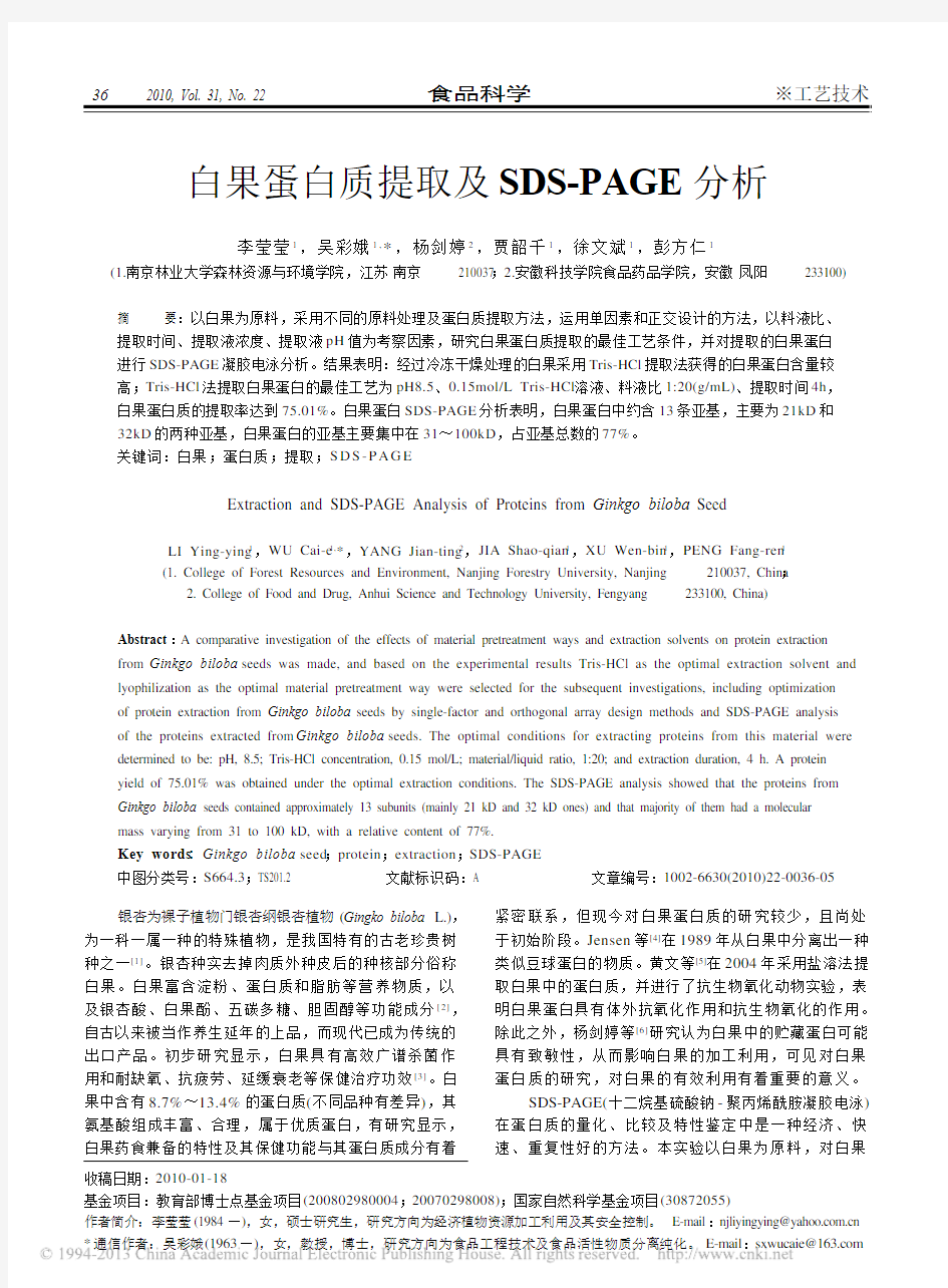 白果蛋白质提取及SDS_PAGE分析_李莹莹