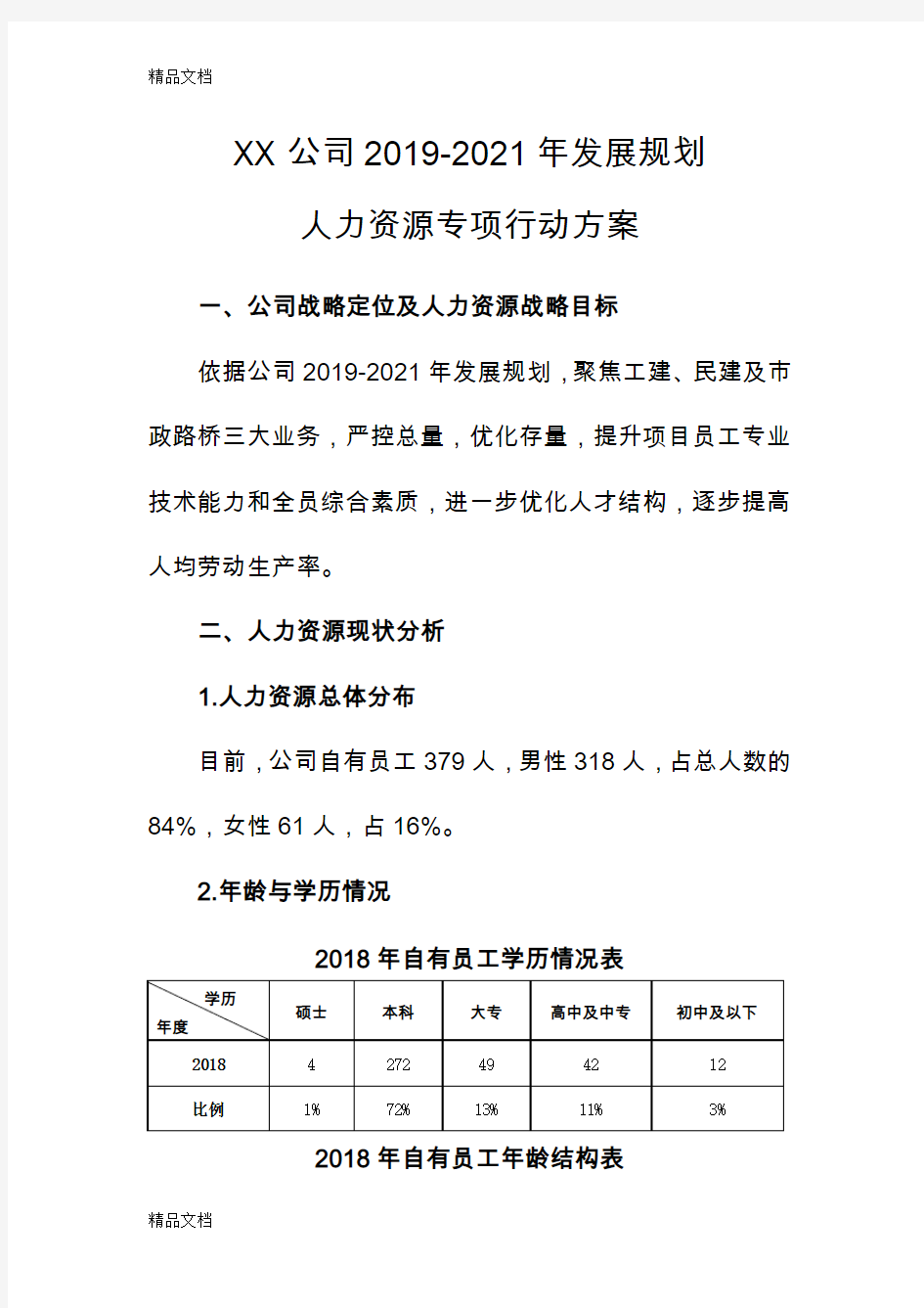 XX公司2019-2021年发展规划人力资源专项行动方案(汇编)