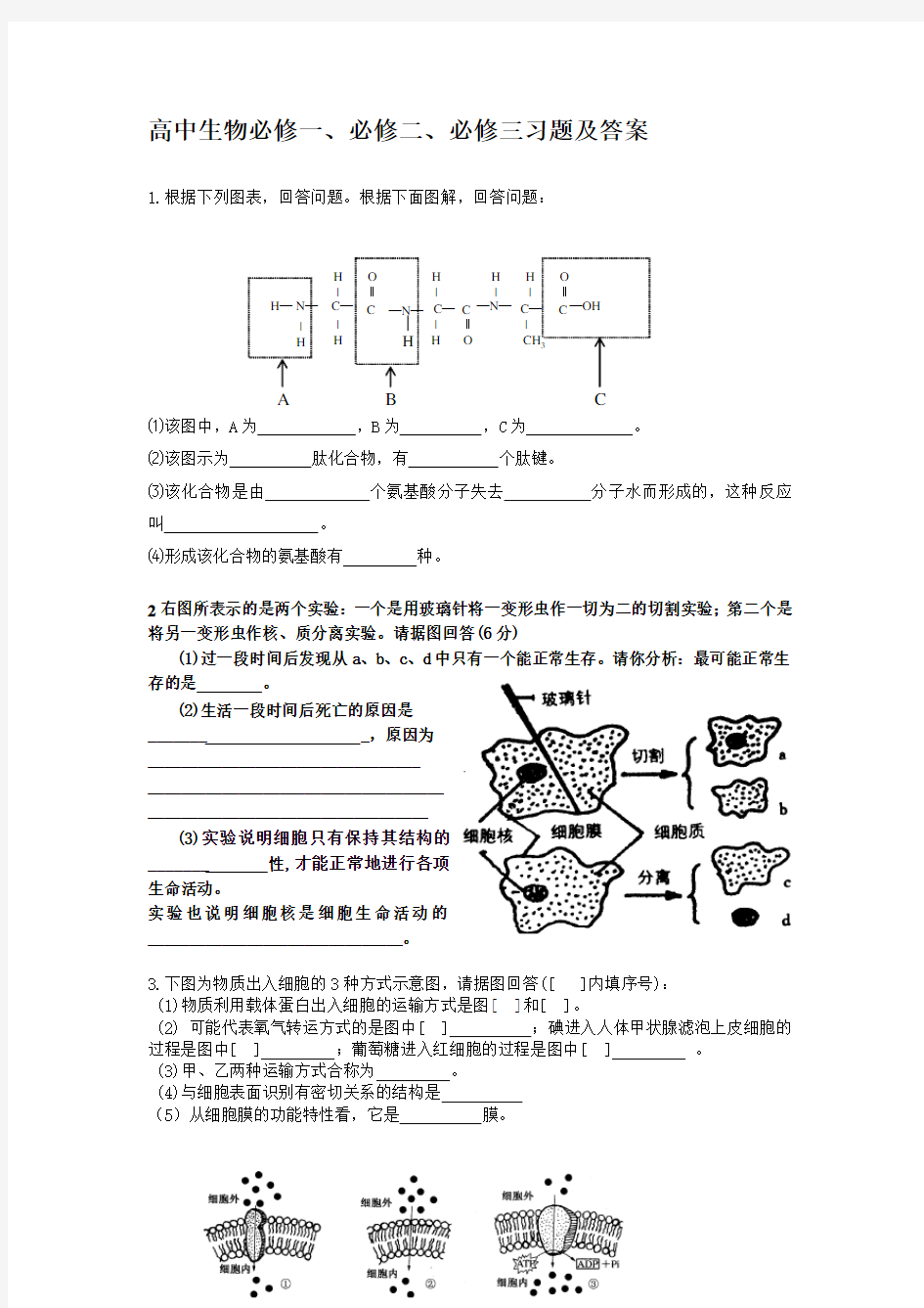 高中生物必修一、必修二、必修三习题及答案