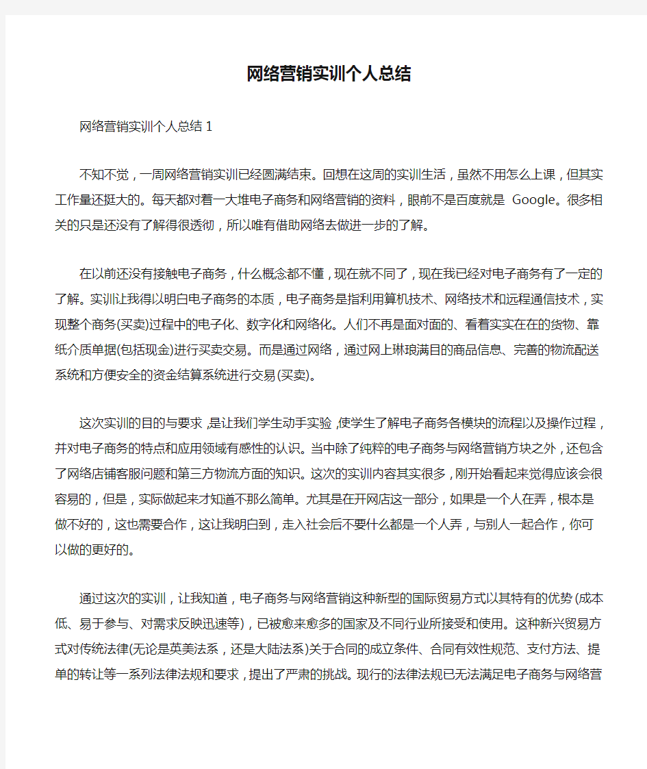 网络营销实训个人总结