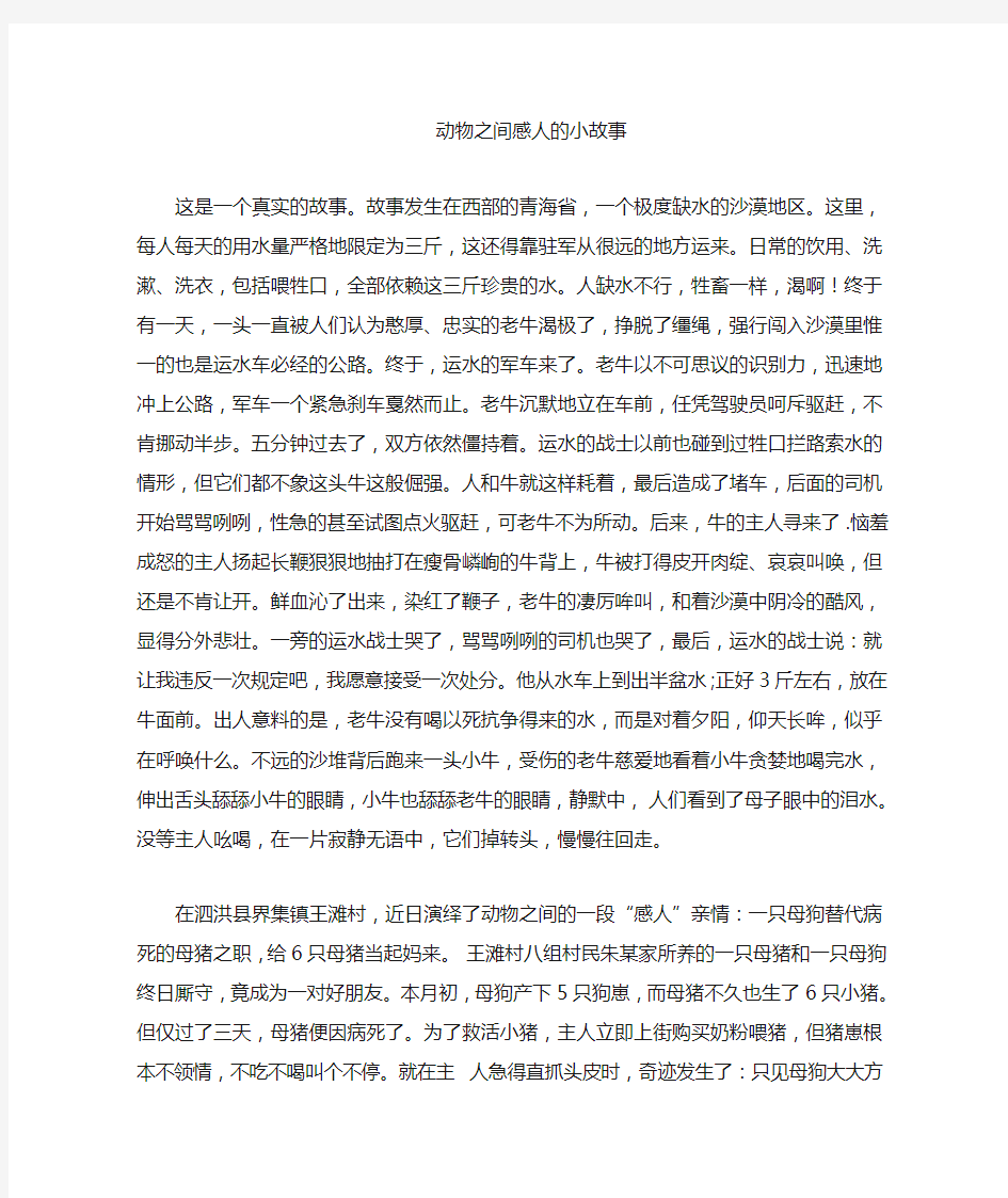 动物的感人小故事