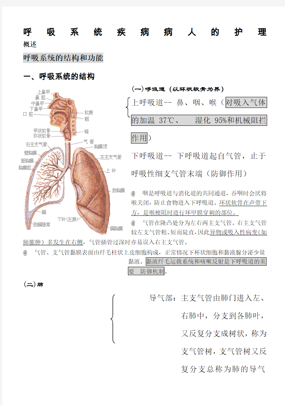 内科护理学笔记(呼吸系统) (2)