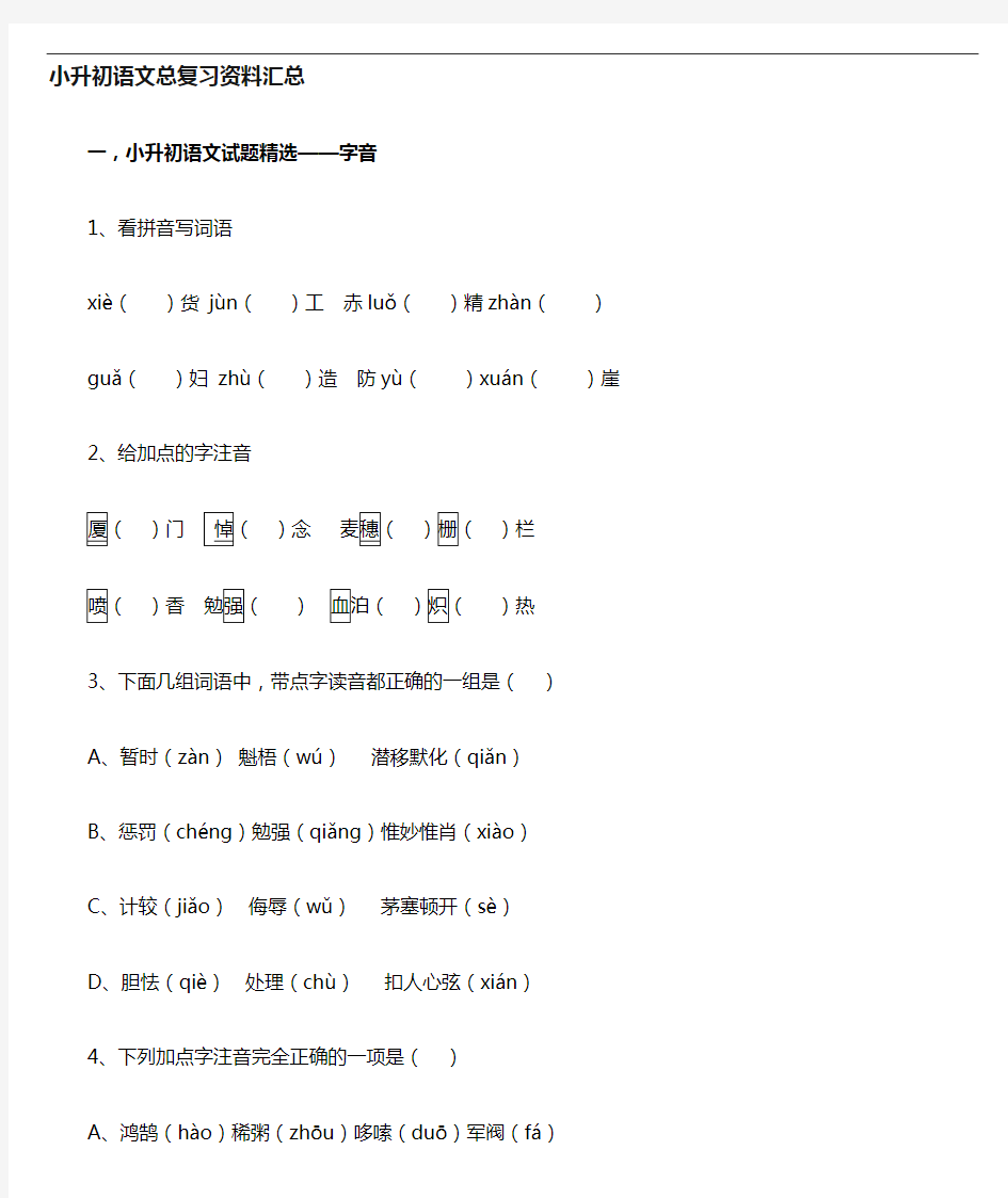 小升初语文总复习资料全