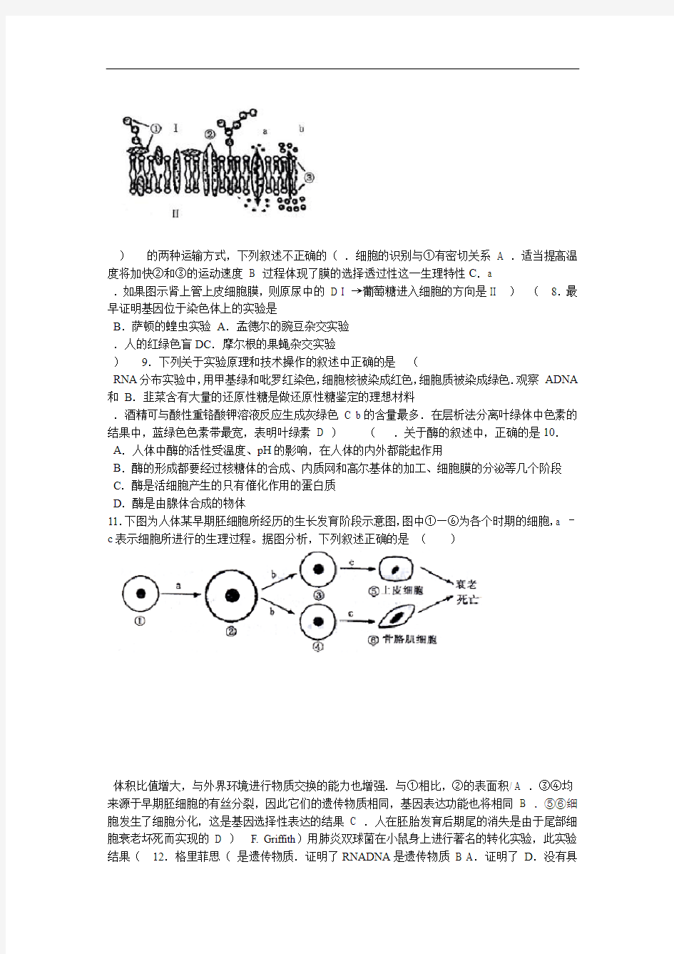 山东省烟台市上学期高三期中考试生物试题