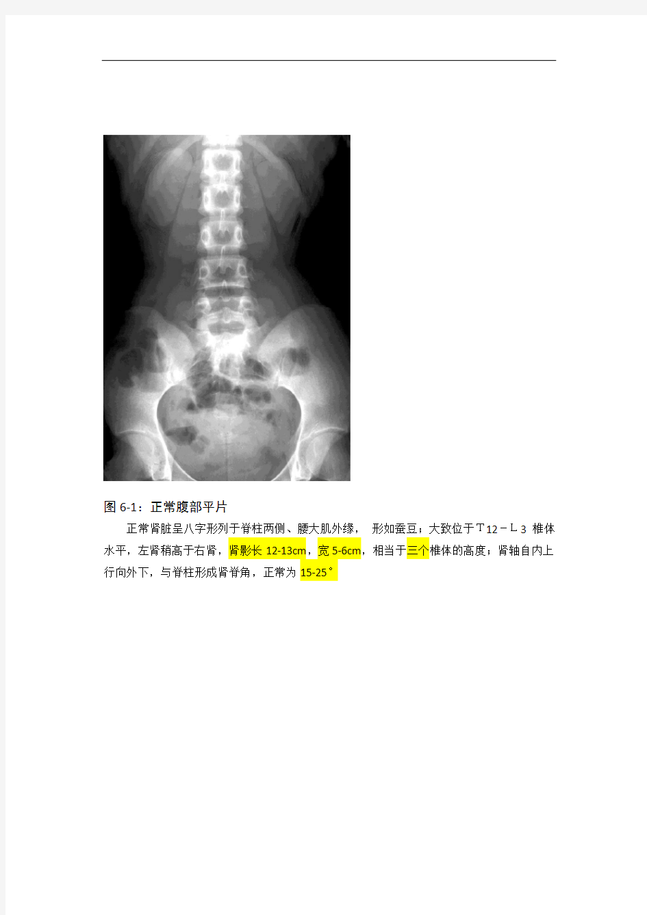 肾脏疾病造影案例集