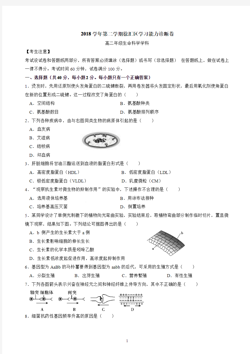 2018-2019学年上海市徐汇区高中生物二模试卷及答案