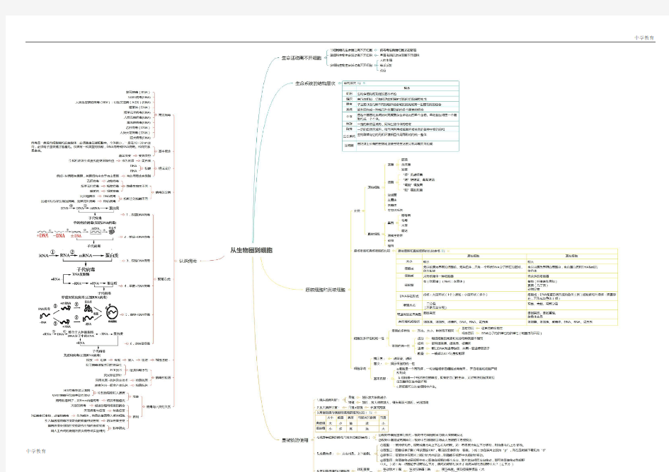 专题1.1 走进细胞(思维导图)-2021年高考生物大一轮复习紧跟教材