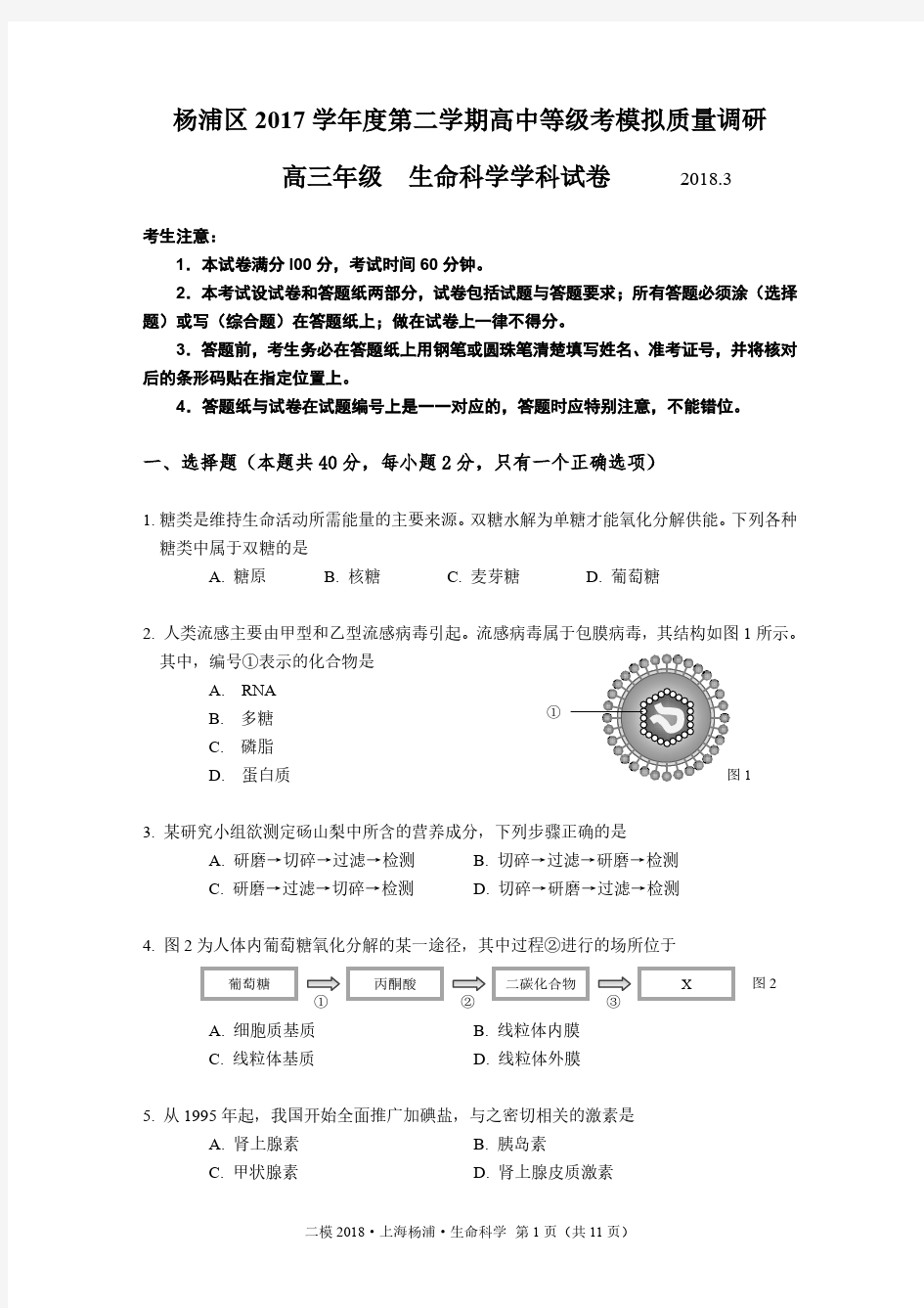 2018年上海杨浦生命科学二模试卷及答案