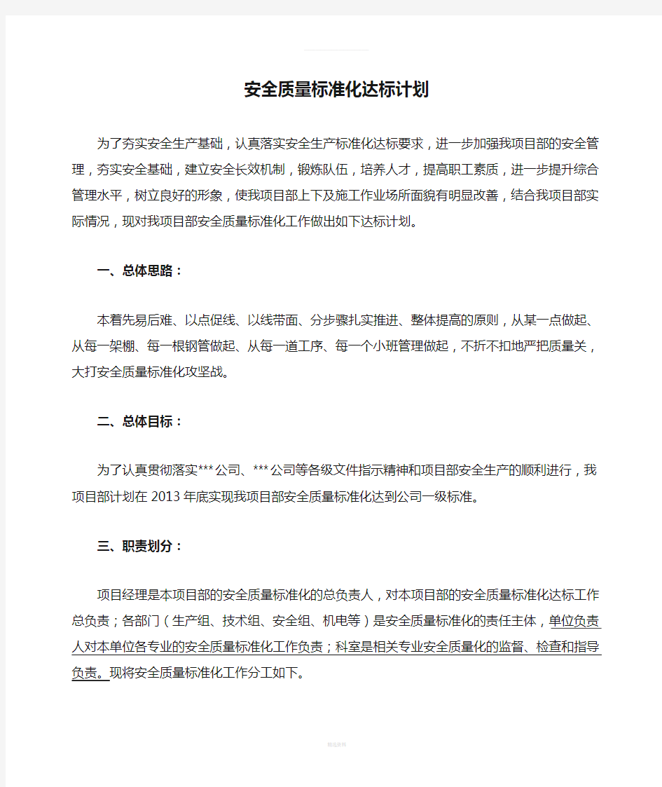 安全质量标准化达标计划.