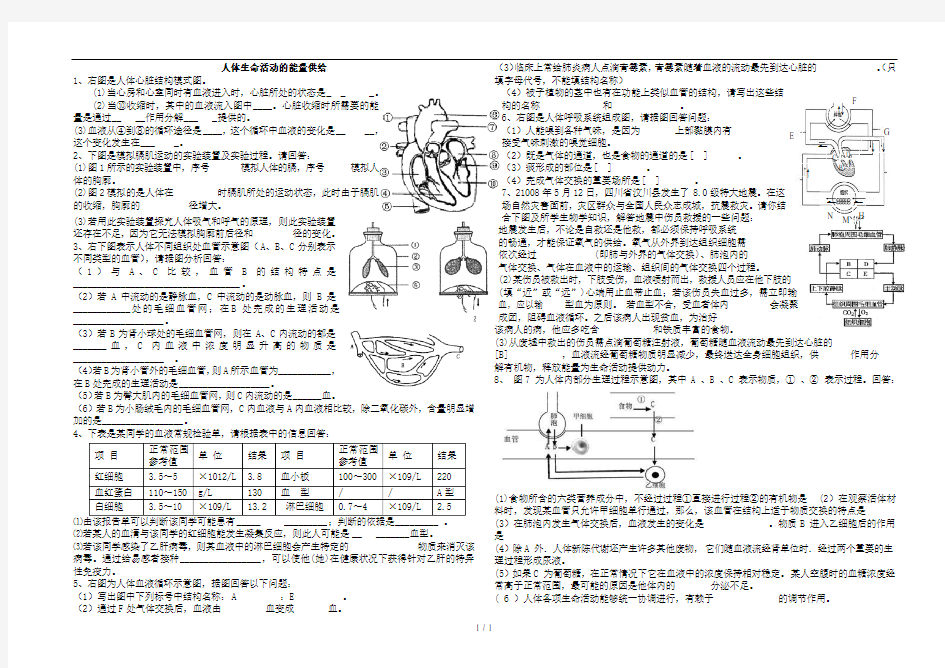 人体生命活动能供给