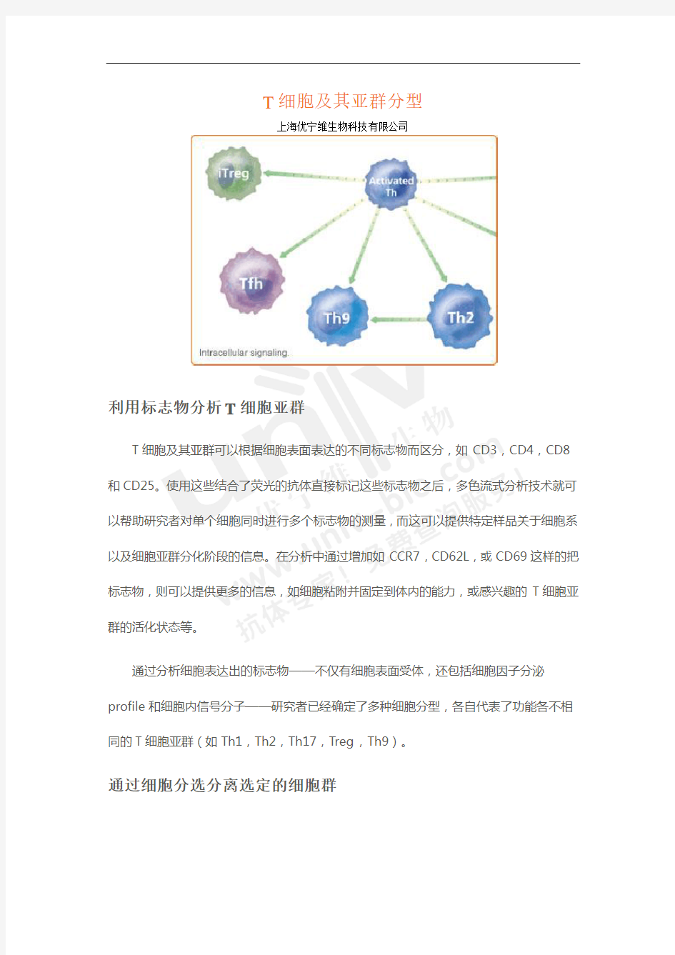 T细胞及其亚群分型