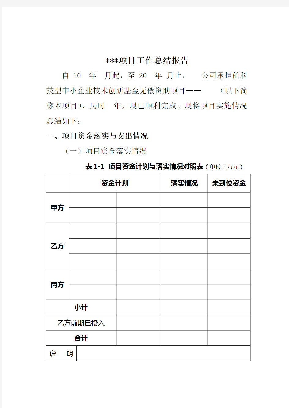 项目工作总结报告