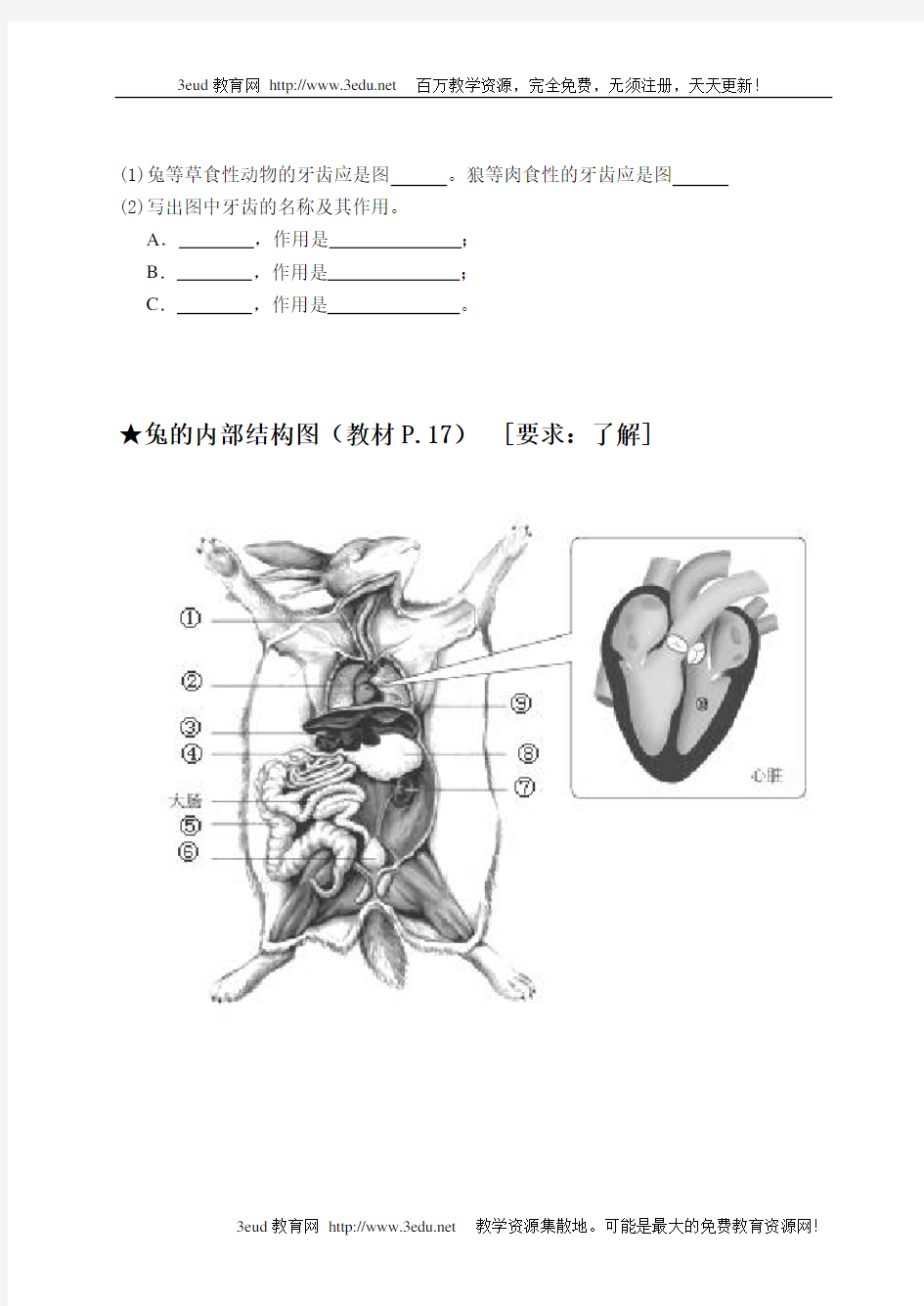 八年级生物上册重点图形总复习