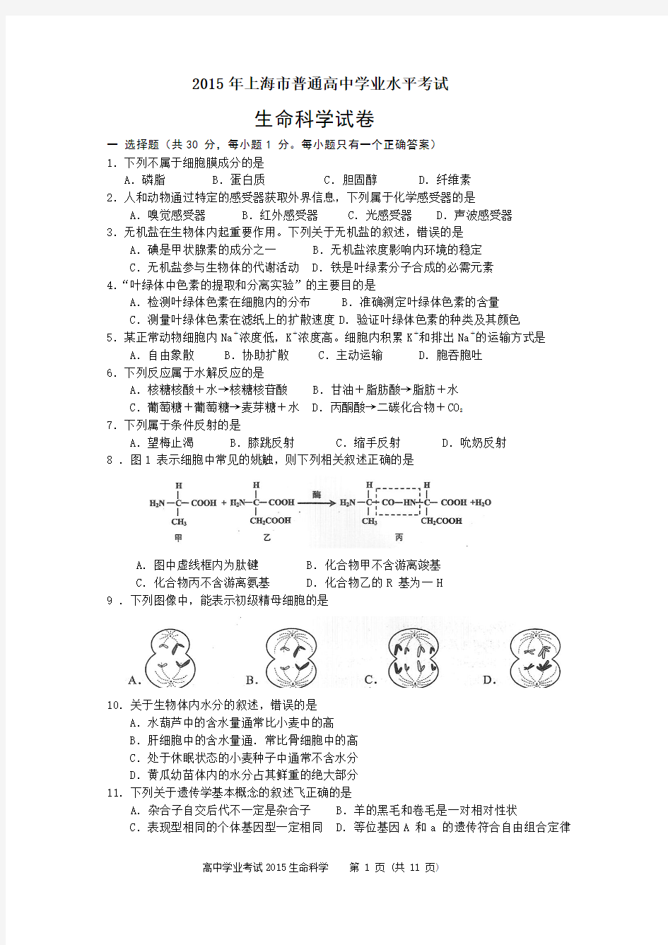 2015年上海市普通高中学业水平考试生命科学试题及答案