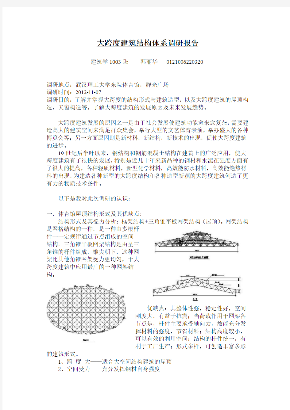 大跨度建筑结构体系调研报告