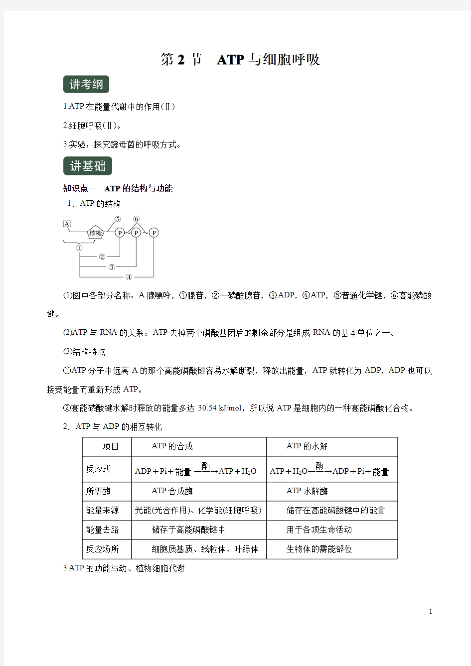 专题3.2 ATP与细胞呼吸(讲)(解析版)