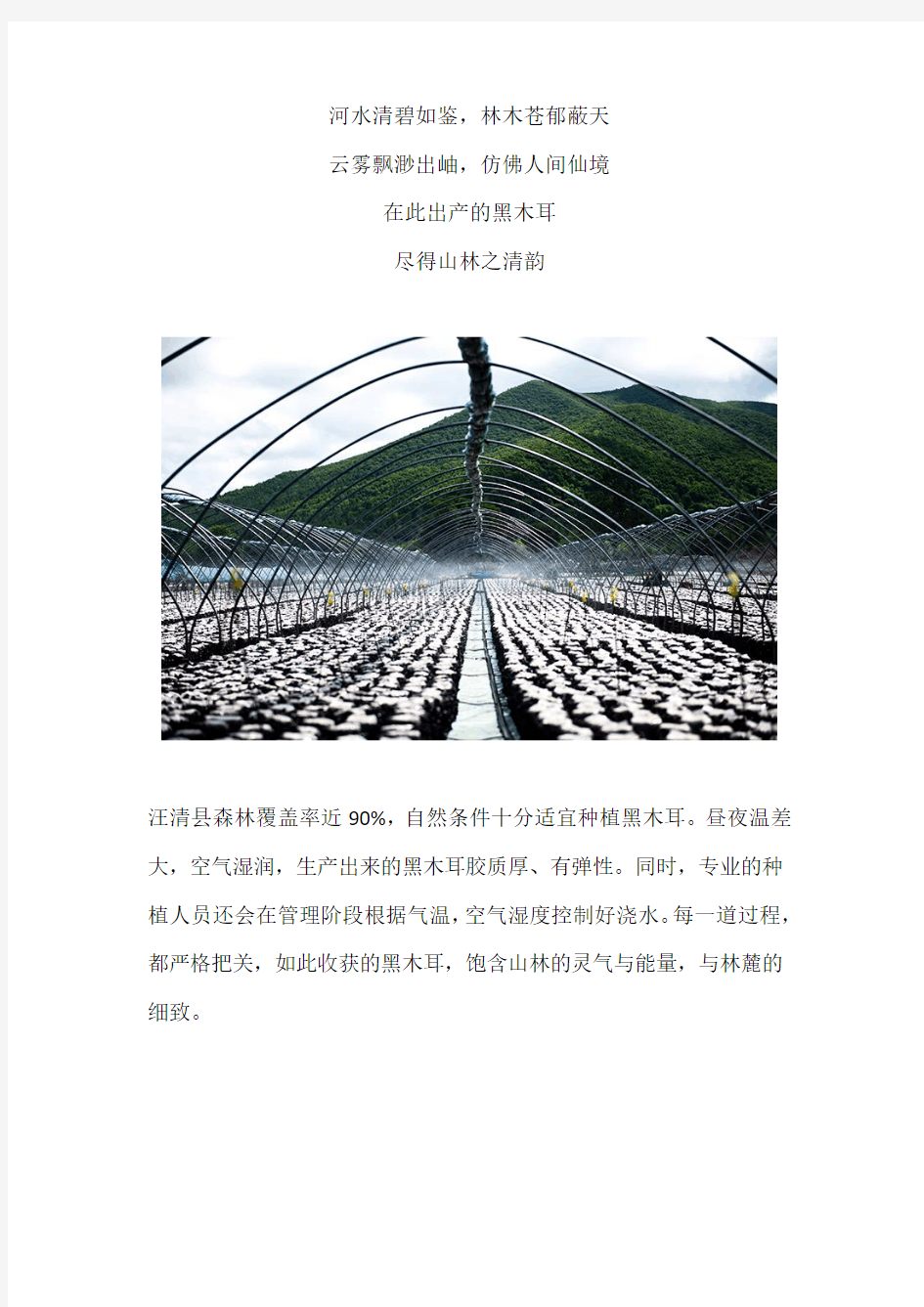 汪清县三家企业被评为“吉林长白山黑木耳”区域公用品牌生产基地