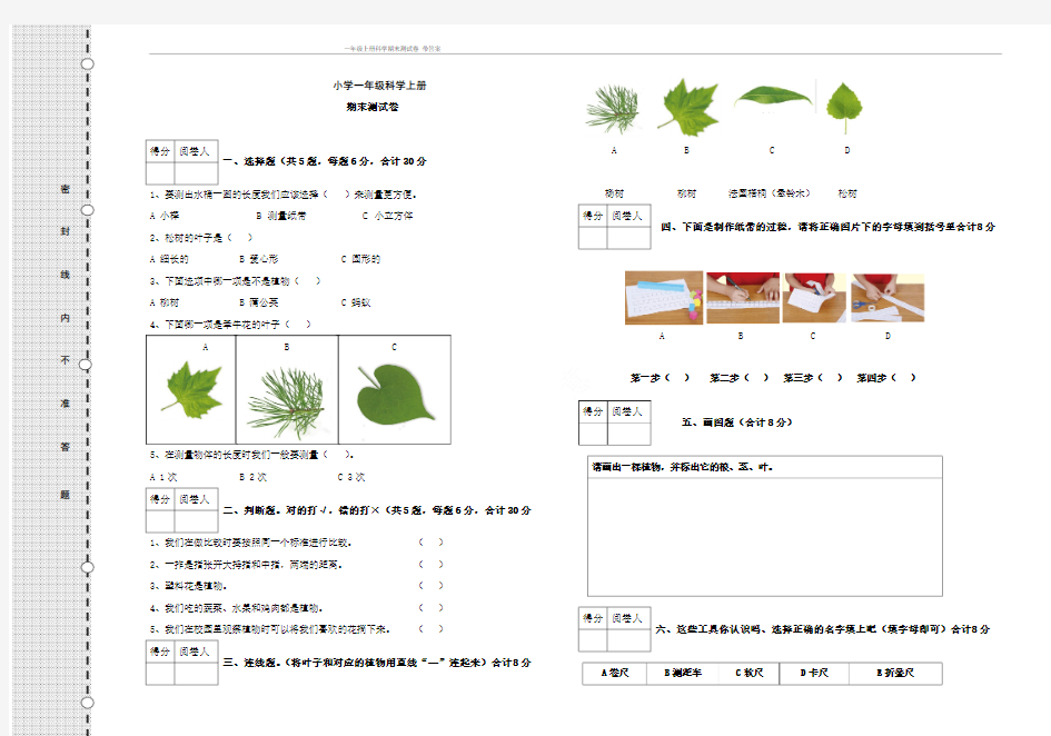 一年级上册科学期末测试卷 带答案